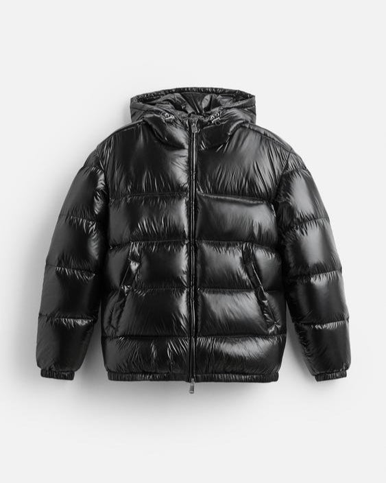 Virale Shiny Puffer